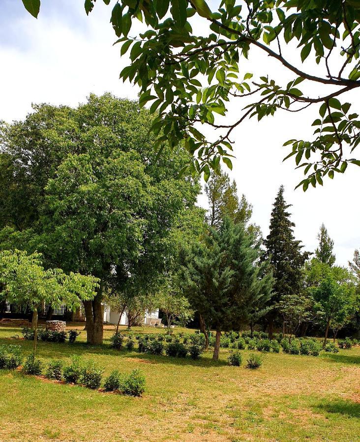 Apartmani Paron Šime Seline Bagian luar foto