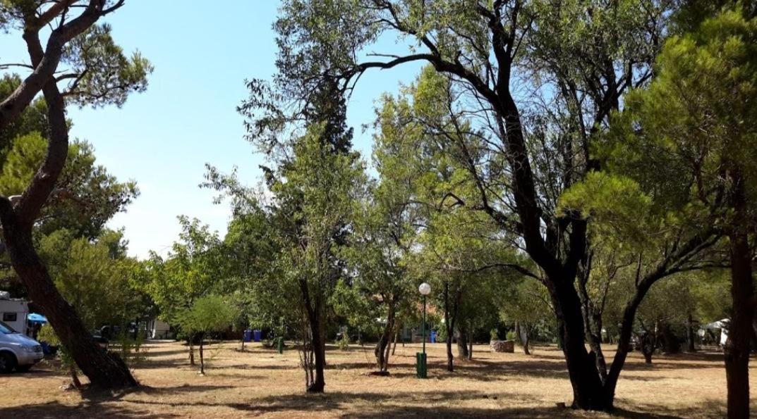 Apartmani Paron Šime Seline Bagian luar foto