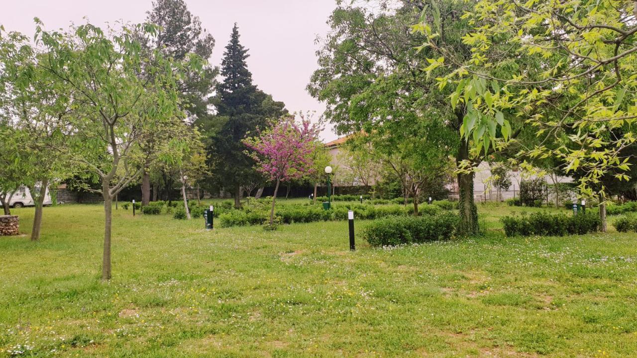 Apartmani Paron Šime Seline Bagian luar foto